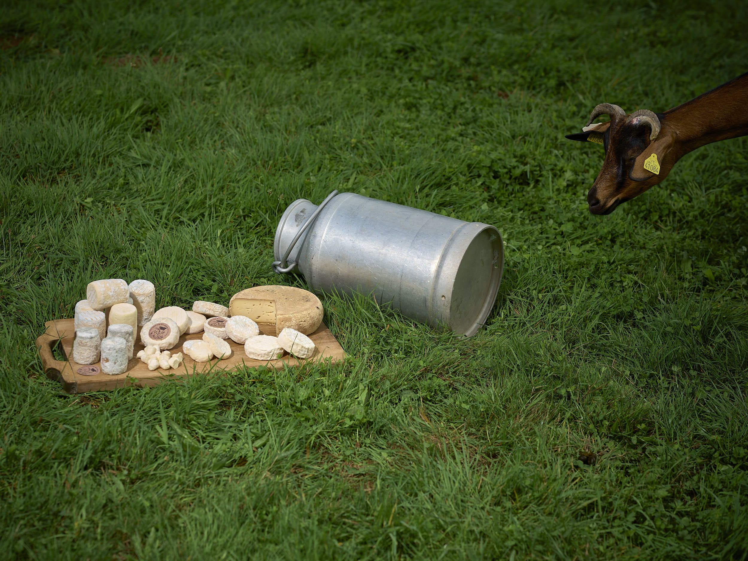 Viticulture & Chai — Terra Lux Pictures