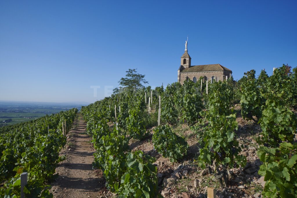 La Chapelle de la Madone de Fleurie
